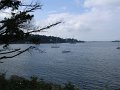 2005 Ile aux Moines et Golfe (4)